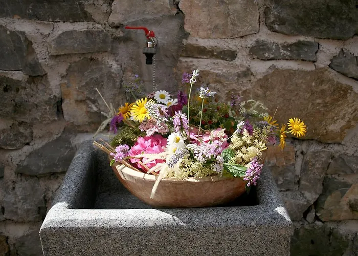 Bed & Fishing House * Slap ob Idrijci